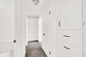 Spacious closet featuring dark carpet