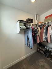 Spacious closet with carpet floors