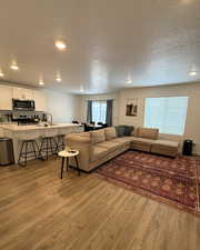 Living room with sink, a textured ceiling, and light hardwood / wood-style floors