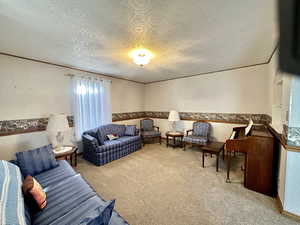 Living room featuring light colored carpet and ornamental molding