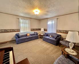 Living room featuring ornamental molding and carpet floors