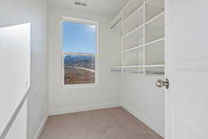 Walk in closet featuring carpet