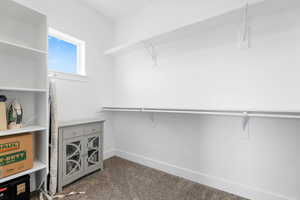 Spacious closet featuring carpet flooring