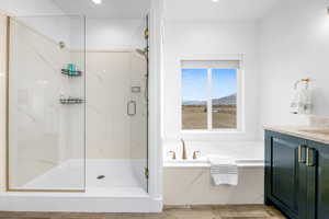 Bathroom with vanity and separate shower and tub