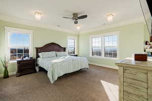 Carpeted master bedroom featuring ceiling fan and ornamental molding