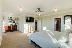 Carpeted master bedroom featuring crown molding and ceiling fan