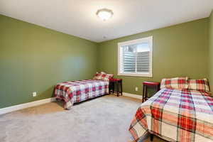 Bedroom with carpet