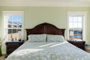 Carpeted master bedroom featuring ornamental molding, a mountain view, and multiple windows