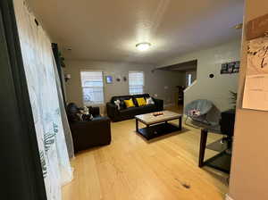 Living room featuring hardwood / wood-style flooring