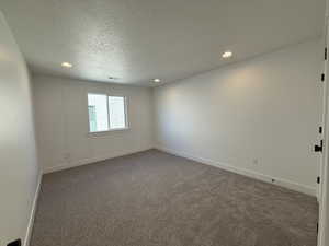 Spare room with carpet floors and a textured ceiling