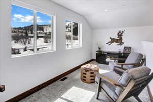 Living area featuring lofted ceiling, a wealth of natural light, and light colored carpet