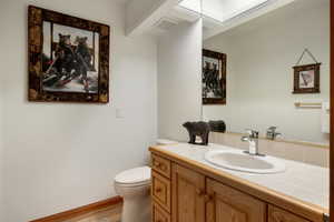 Bathroom featuring a skylight, vanity, wood-type flooring, and toilet