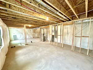 Unfinished basement.