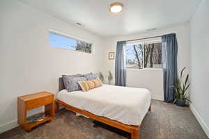 Carpeted bedroom featuring multiple windows