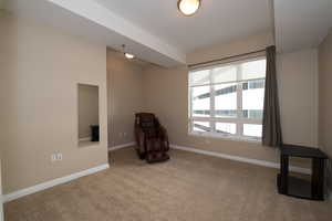 Unfurnished room featuring light colored carpet