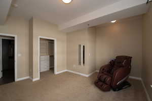 Unfurnished room with light carpet