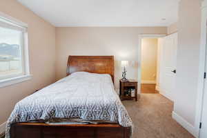Bedroom with light carpet