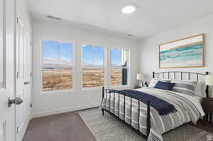 Carpeted bedroom featuring a mountain view