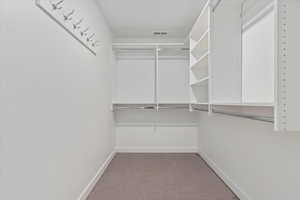 Spacious closet with light carpet