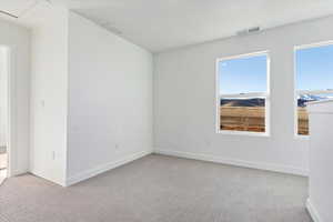 Unfurnished room with light colored carpet