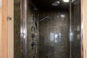 Master bath shower