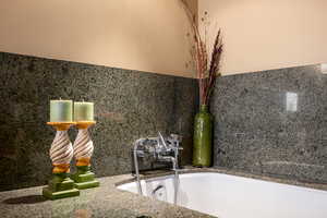 Master bath tub