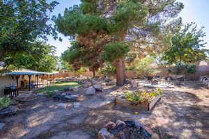 View of yard featuring a patio