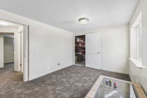 Basement bedroom with walk-in-closet and door to storage area.