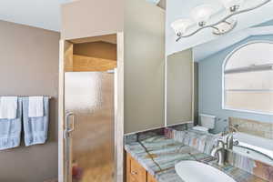 Master bathroom featuring an enclosed shower, a separate soaking tub, and beautiful unique countertop.