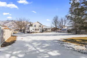 Backyard, rear view.