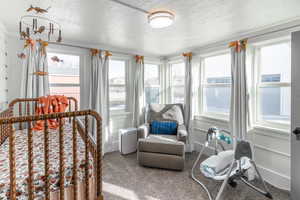 Carpeted bedroom with a textured ceiling