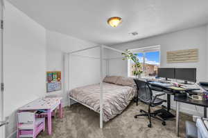 Carpeted bedroom with a textured ceiling