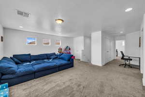 Carpeted living room with a textured ceiling