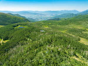 Mountain view featuring a forest