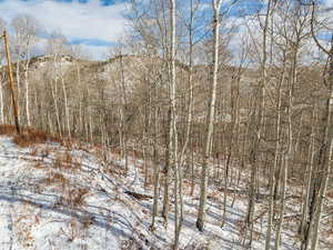 View of snow covered land