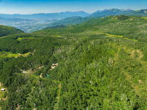 View of mountain backdrop featuring a forest