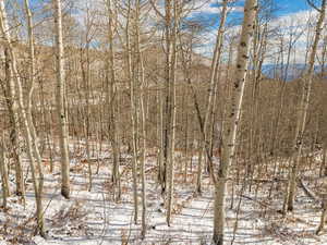 View of snow covered land
