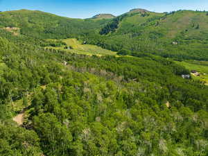 View of mountain backdrop with a heavily wooded area