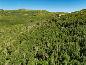 Mountain view featuring a forest