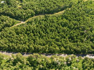 View of property location featuring a heavily wooded area and property boundaries highlighted
