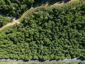 Aerial overview of property's location