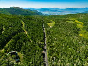 Aerial view of a mountainous background and a forest