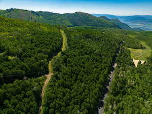 Aerial view of a heavily wooded area and a mountain backdrop