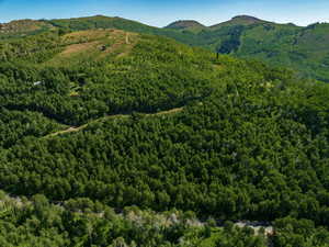 View of mountain background featuring a forest