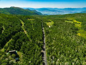 Drone / aerial view of a mountain backdrop and a heavily wooded area