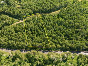 View of property location featuring a forest and property boundaries highlighted