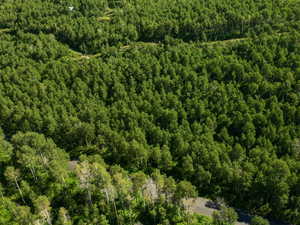 Aerial overview of property's location featuring a forest