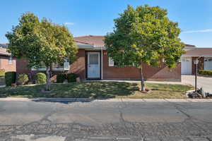 View of property hidden behind natural elements with a garage and a front lawn