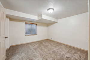 Basement featuring a textured ceiling and carpet