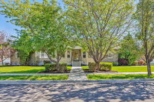 Obstructed view of property featuring a front yard